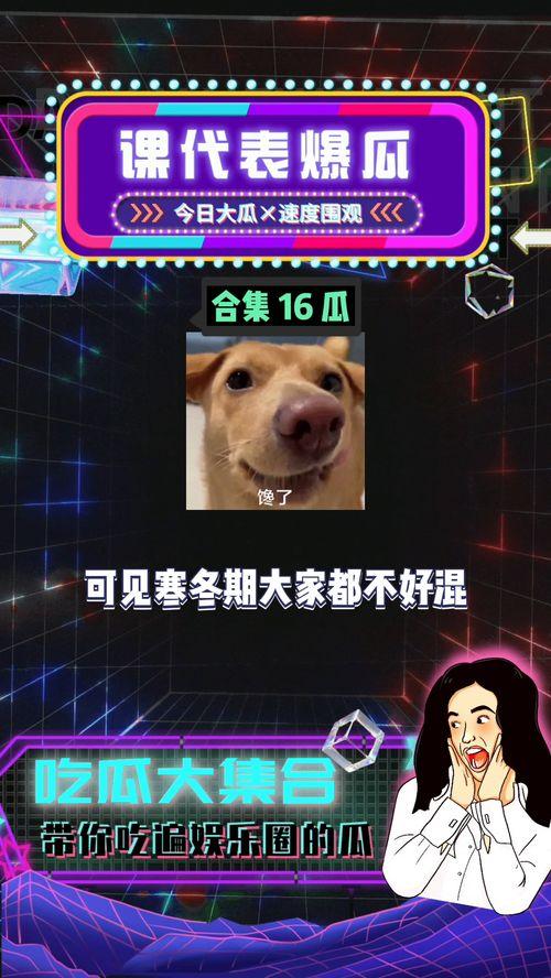 娱乐吃瓜 八卦,揭秘明星背后的八卦秘闻
