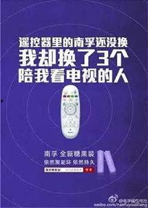 娱乐吃瓜报道文案怎么写,揭秘明星幕后故事，揭秘幕后真相