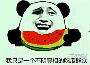 娱乐是吃瓜群众,揭秘“吃瓜群众”背后的娱乐狂欢世界