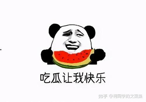 娱乐吃瓜君沙雕,揭秘娱乐圈那些沙雕趣事