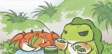 娱乐可爱蛙吃瓜,欢乐无限秀萌态