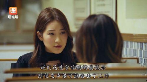 娱乐圈吃瓜全集小说,揭秘明星背后的秘密与真相