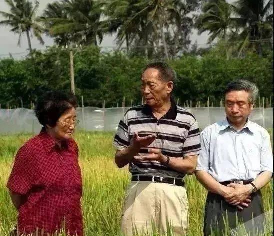 娱乐吃瓜助理当枪使,吃瓜助理如何成为舆论推手