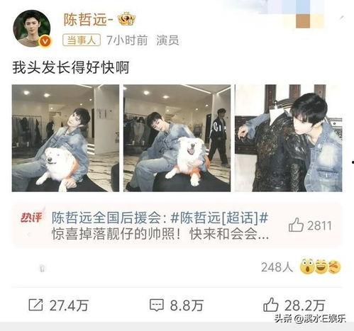娱乐吃瓜酱换头像,新形象亮相引网友热议