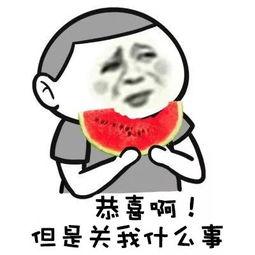 娱乐吃瓜君西北话,娱乐君带你领略方言魅力