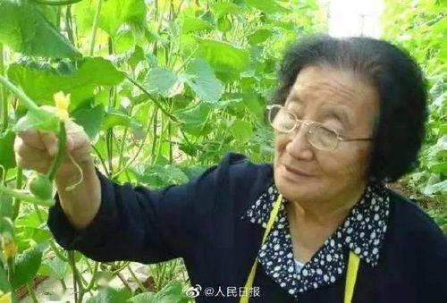 吃瓜娱乐如果星星不说话,揭秘“如果星星不说话”的神秘魅力